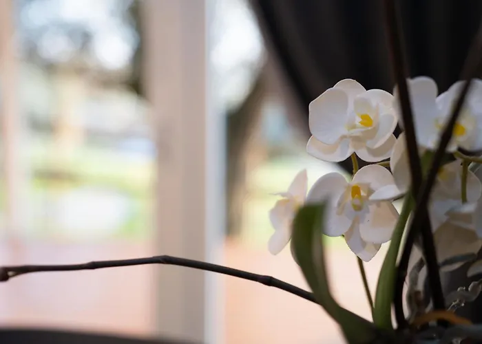 Agricamping Est Garda